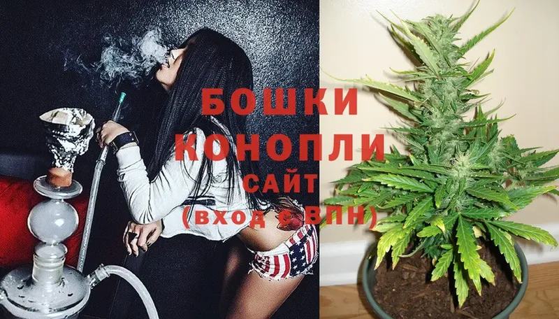 Конопля SATIVA & INDICA  Электросталь 